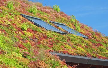 Horsey Corner living roof systems